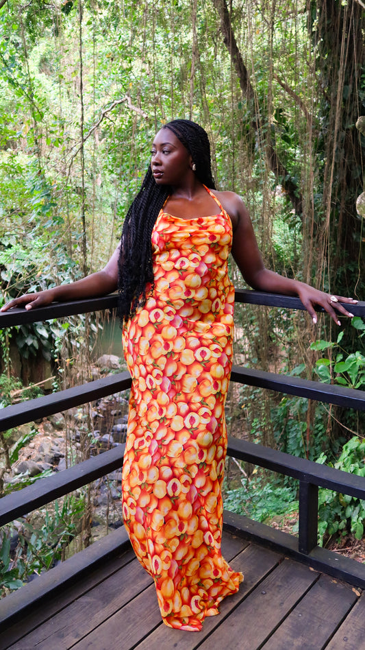 Rita Dress (Bellini)