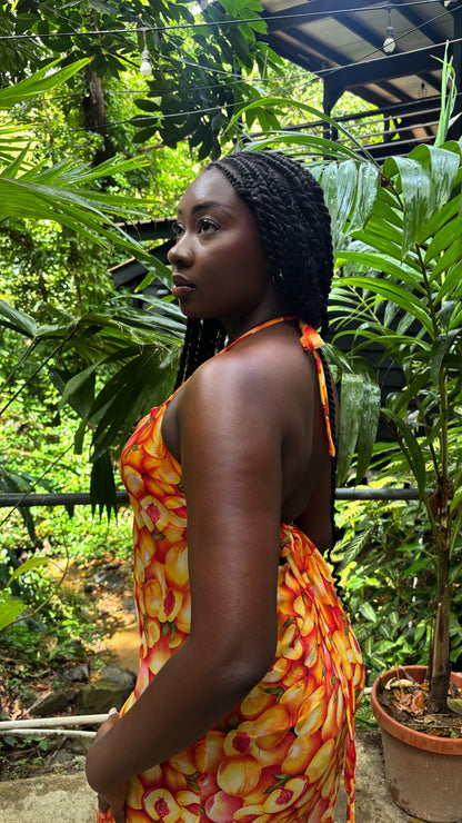 Rita Dress (Bellini)